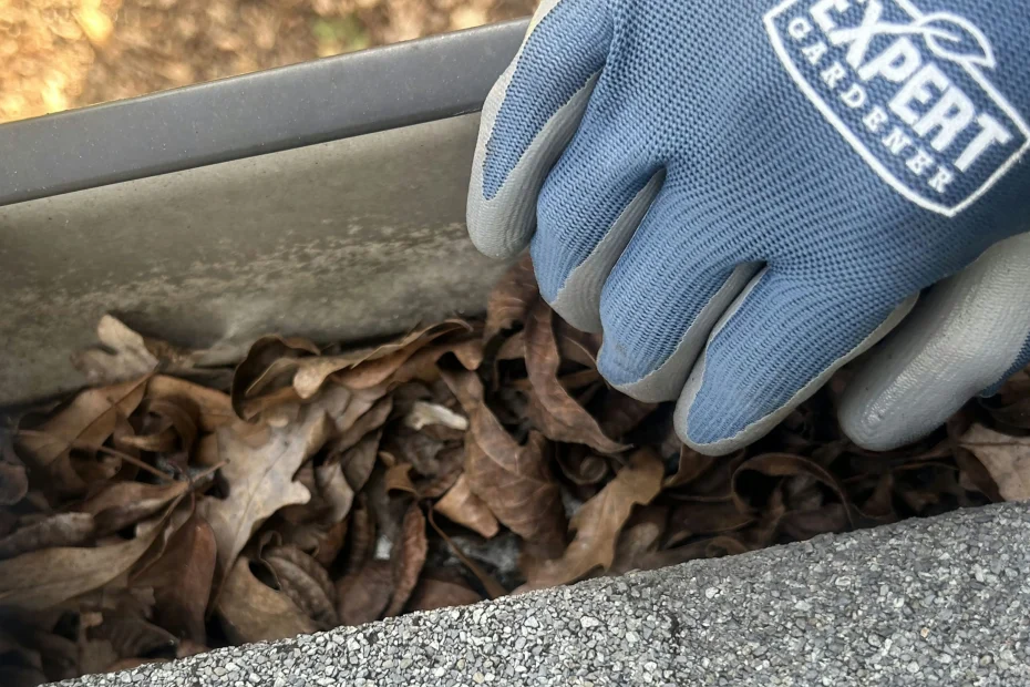Leawood Gutter Cleaning