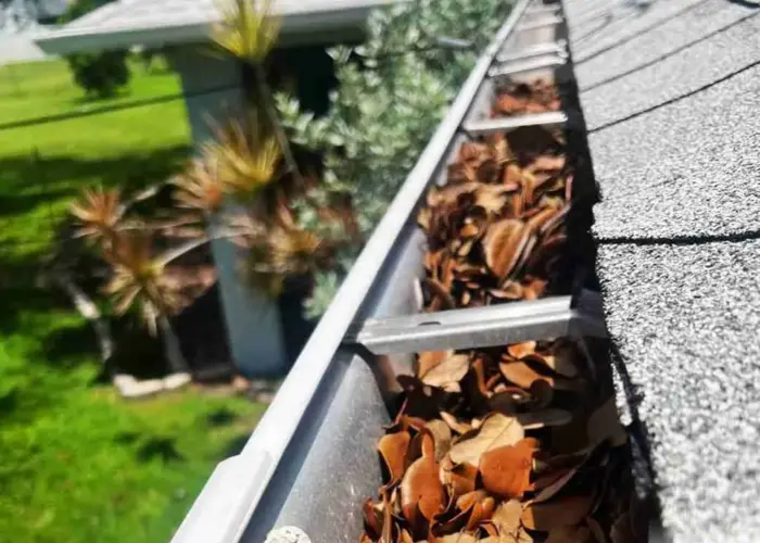 Gutter Cleaning Leawood, KS home page